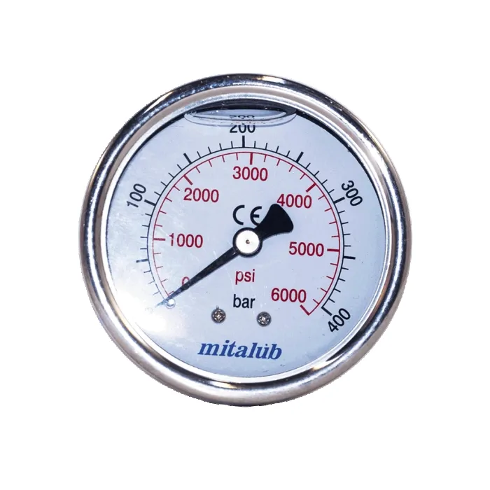 STAINLESS BACK PRESSURE GAUGES WITH GLYCERIN